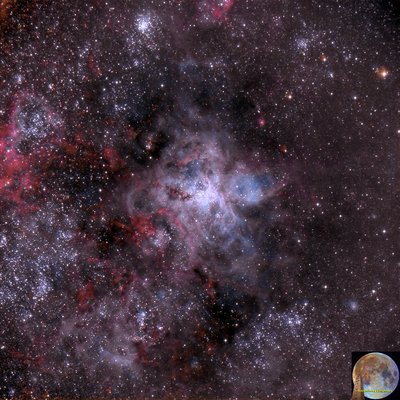 NGC 2070 TARANTULA NEBULA OK SEND_jpg.jpg