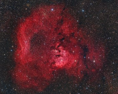 NGC7822 13hr HaO3RGB January 2017_small.jpg