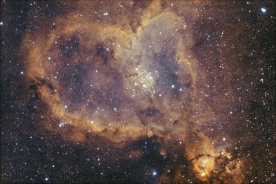 IC1805 Bicolor_small.jpg