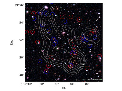 A close-up view of the cluster of galaxies observed. The image is a composite <br />of the i-band data (in red) from the Hyper Suprime-Cam at the Subaru Telescope <br />and R-band (in green) and V-band (in blue) images from the Mayall 4-m telescope <br />at the Kitt Peak National Observatory of National Optical Astronomy Observatory. <br />Contour lines show the mass distribution. Red and blue circles show galaxies <br />that stopped star formation and galaxies with star formation, respectively. The <br />research team was able to study the evolution of the large scale structure in the <br />Universe by comparing the mass distribution in the Universe and the distribution <br />of the galaxies. (Credit: Hiroshima University/NAOJ)