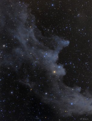 Witch Head Nebula (607 x 800).jpg