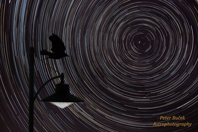 Startrails_small.jpg