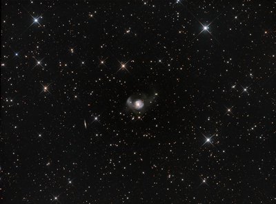 NGC2782.jpg