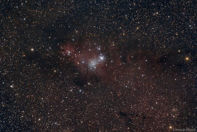 NGC2264_20170226v4a_comp1920_small.jpg