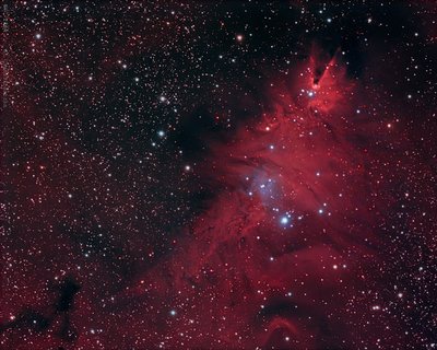 cone nebula name 2_small.jpg