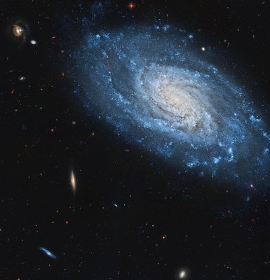 NGC 3370_small.jpg