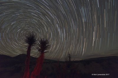 CopyrightsmTerlinguaStarTrails_small.jpg