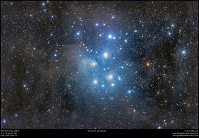 M45 The Pleiades_FEB17_QHY367_45x120 Terry Hancock_50_small.jpg
