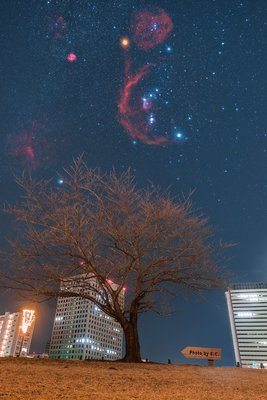 Orion on Urban Sky_small.jpg