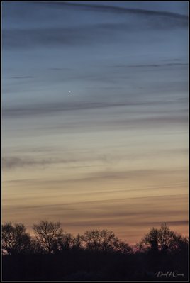 20170330_Levée de Venus_small.jpg