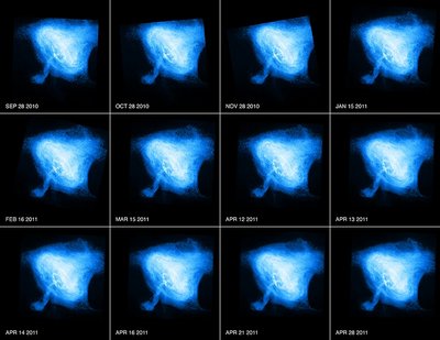 These images are from a sequence of Chandra observations of the Crab Nebula <br />taken Sept 2010 — April 2011. (Credit: NASA/CXC/MSFC/M.Weisskopf et al)