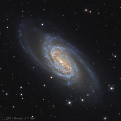 NGC2903_PS4_CROP_FULL_small.jpg
