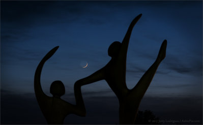 Moondance.jpg