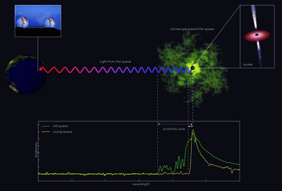 Basic set-up of the quasar observations: Light from a quasar (right) is <br />absorbed by gas. Absorption is much less in the quasar's proximity zone, <br />which is shown in green for an older quasar, in yellow for a younger quasar. <br />The extent of the proximity zone can be read off the spectrum (bottom). <br />The quasar itself is a central black hole, surrounded by a disk of swirling <br />matter, and possibly sending out particles in two tightly focussed jets <br />(inset, top right). Image Credit: A. C. Eilers &amp; J. Neidel, MPIA