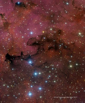 Gamma Cygnus Nebula RGB_SHO_small.jpg