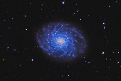 Pavelchak NGC3486 Small.jpg