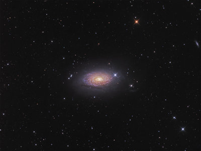 sunflower galaxy.jpg