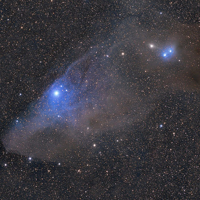 IC4592_800px_q8.jpg