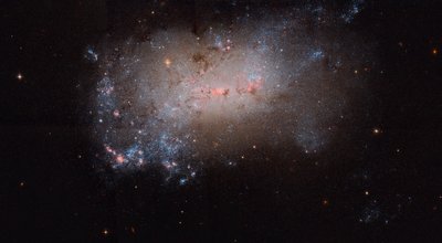 NGC 4449 - Domingo Pestana y Raul Villaverde_small.jpg