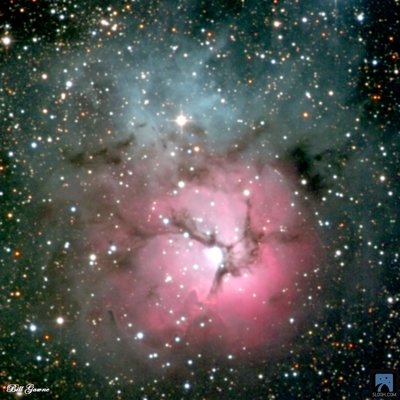 Trifid_cr_lg_en_wm_jpg.jpg