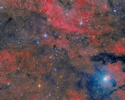 Lace close Sadr in Cygnus.jpg