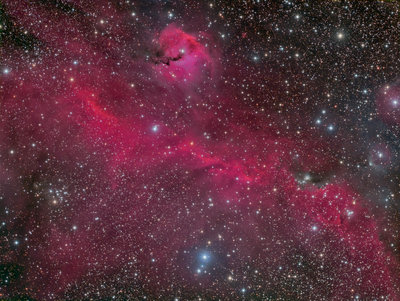 Seagull Nebula FSQ LRGB Processed - LR1.jpg