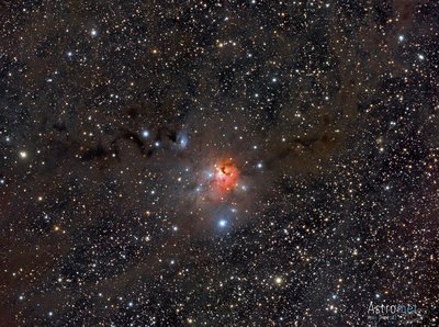 NGC1579 version final-2_small.jpg