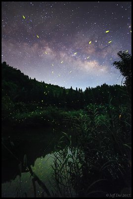 Fireflies and the summer Milky way_small.jpg