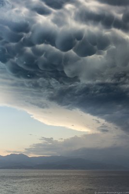 Maragos-Mammatus_small.jpg