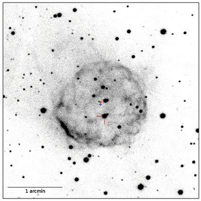 The recovered nova of March 11, 1437 and its ejected shell. This image was <br />taken with the Carnegie SWOPE 1-meter telescope in Chile using a filter that <br />highlights the hot hydrogen gas of the shell. The now-quiescent star that <br />produced the nova shell is indicated with red tick marks; it is far from the <br />shell’s center today. However, its measured motion across the sky places it <br />at the red “+” in 1437. The position of the center of the shell in 1437 A.D. is <br />at the green plus sign. The agreement of the 1437 A.D. positions of the shell <br />center and of the old nova are the “clock” that demonstrates that the old nova <br />of 1437 A.D. really is the source of the shell. © K. Ilkiewicz, J. Mikolajewska