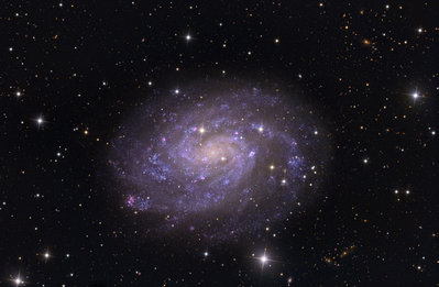 NGC300_Steven_Mohr.jpg