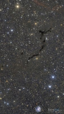 Barnard 150 y NGC6946-3_small.jpg