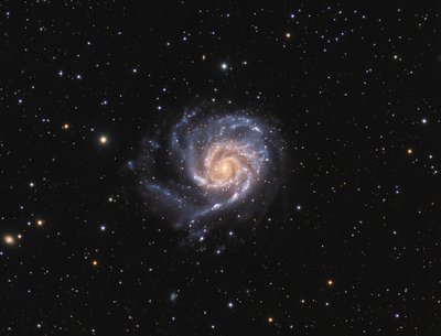 m101c.jpg