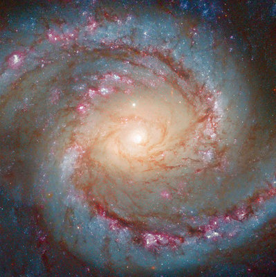 NGC1566 Hubble.jpg