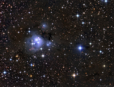 NGC7129[1].jpg