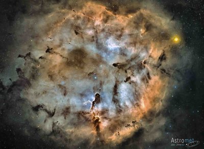 IC 1396 Elephant Trunk Nebula complex in SHO.jpg