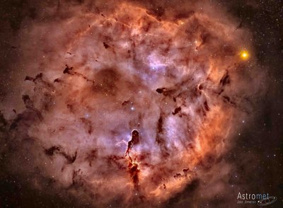 IC 1396 Elephant Trunk Nebula complex in SHO+RGB.jpg