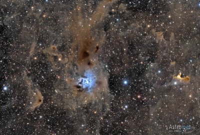 NGC 7023 version final_small.jpg