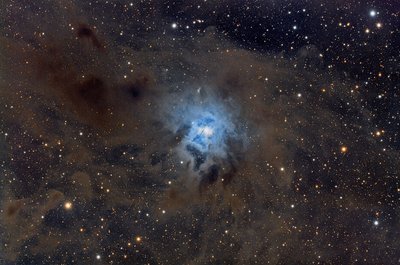 NGC 7023-submission_jpg_small.jpg