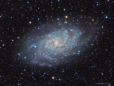 m33_oct_large_leo_shatz_2017.jpg