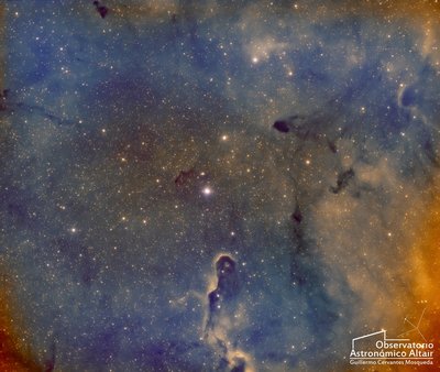 IC1396 Narrow Band Guillermo Cervantes Mosqueda_small.jpg