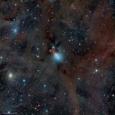 NGC1333-X3.jpg