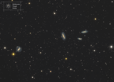 grus_quartet_apod.png