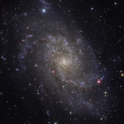 M33 HaLRGB RH305 16803 v1.jpg