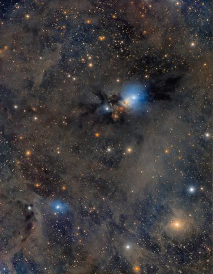 ngc1333_LD.jpg