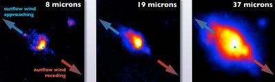 The massive forming star Cepheus A shown at three infrared wavelengths of <br />8, 19 and 37 microns. The location of the star is marked by the green dot in <br />each panel. Light from the outflow cavity facing toward the telescope is <br />indicated with the blue arrows, while light from the cavity facing away from <br />the telescope is indicated with the red arrows. As part of the formation <br />process, a disk around the star launches magnetized winds that clear a path <br />through the dense, dusty cloud, making it easier to see the hot, glowing dust <br />near star. The 8 micron image only reveals light from the outflow cavity facing <br />the telescope, but in the 37 micron image, the hot dust from both cavities <br />becomes apparent.  Credits: NASA/SOFIA/J. De Buizer/J. Tan