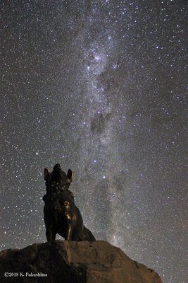 Man's best friend(Kodai Fukushima)_small.jpg