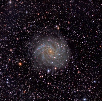 NGC 6946_S1a_Shadows_LHE2_RS_SS10_7_Crop_Edit_Noise_Curves_Noise_Small.jpg