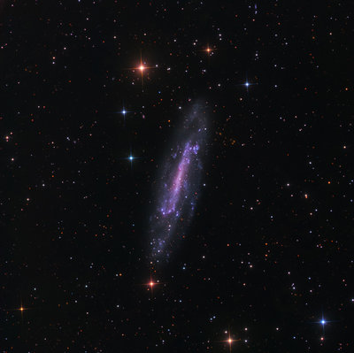 NGC4236ApodFinalSmall.jpg
