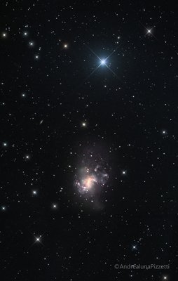 ngc1313_2018_filtered_stars_254_cr_small.jpg